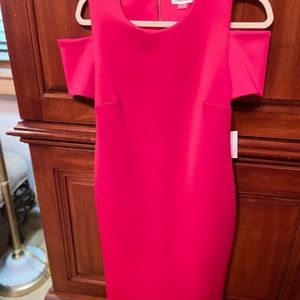 Rich pink Calvin Kline cocktail dress. Knee length. Size 10